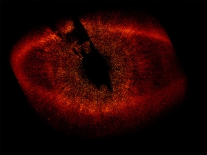 Снимок протопланетного диска около звезды HD 216956, сделанный Хабблом (space.com)