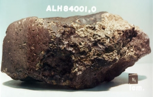 Метеорит ALH84001 (wikipedia.org)