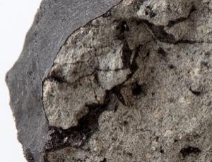 Образец метеорита Тиссинт (newscientist.com)