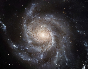 Типичная спиральная галактика (wikimedia.org)