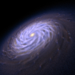 Результат моделирования рождения спиральной галактики (cfa.harvard.edu)
