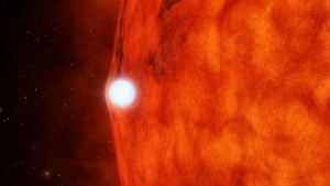 Рисунок белого карлика, искажающего излучение звезды (space.com)