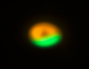 Снимки ALMA (зеленый - миллиметровый, 450 нм) и Очень большого телескопа (оранжевый - инфракрасный, 18 нм) (eso.org)