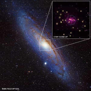 Черные дыры в туманности Андромеды (chandra.si.edu)