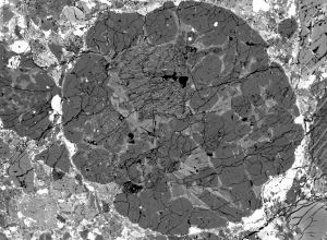 Хондрулы в метеорите (uchicago.edu)