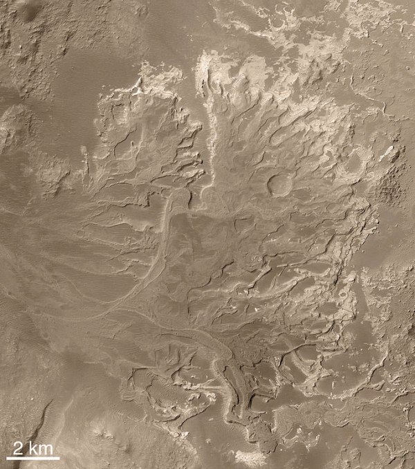 Дельта реки на Марсе (wikipedia.org)