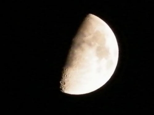 Любительский снимок Луны (phys.org)