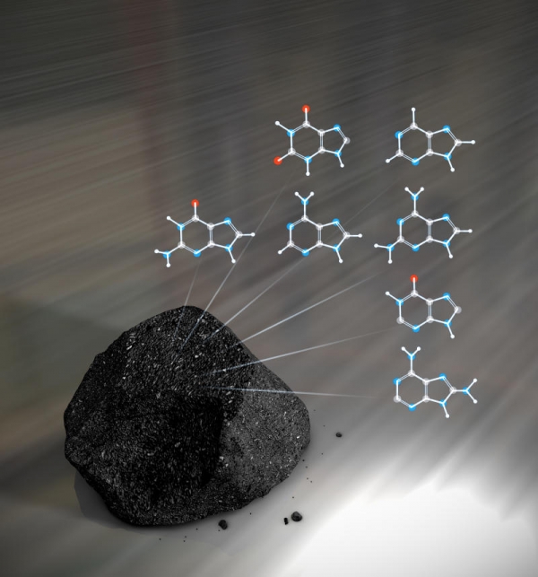 В метеоритах содержится большое разнообразие азотистых оснований, важнейшей части ДНК (sciencedaily.com)