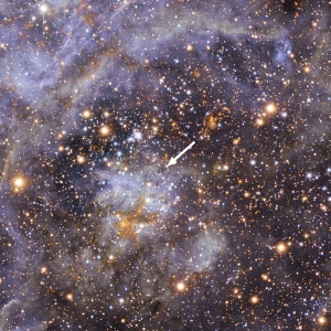 Местоположение звезды на снимке телескопа (eso.org)