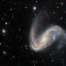 Форма галактики, известной как «Крюк», или NGC 2442, имеет выраженную асимметрию. Один спиральный рукав (в нем недавно взорвалась сверхновая) плотно прилегает к ядру. Другой, где происходит интенсивное звездообразование, вытянулся далеко от центра